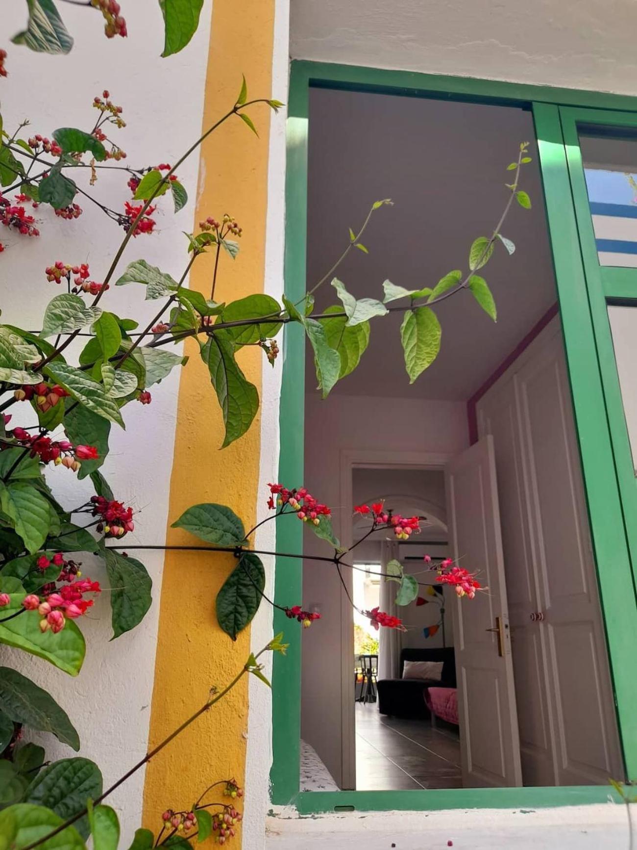 Morning Sun Apartment 229 Puerto De Mogan Exterior foto
